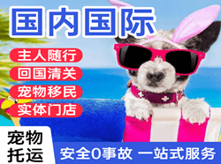 德宏空运代理国际宠物托运 【国